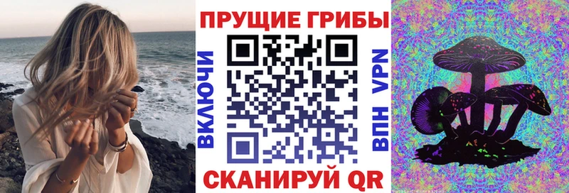 Купить  Грязовец  Псилоцибиновые грибы Magic Shrooms 