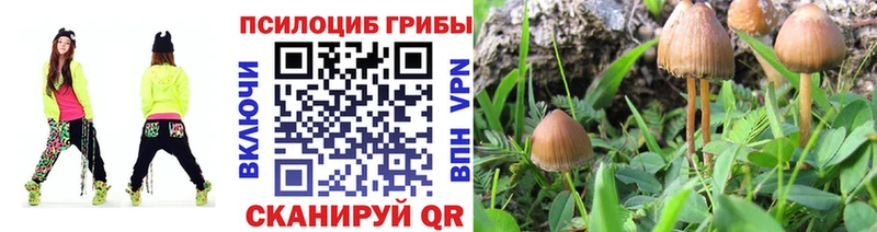 Галлюциногенные грибы ЛСД Грязовец